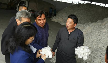 棉花产业经济研究室新疆调研